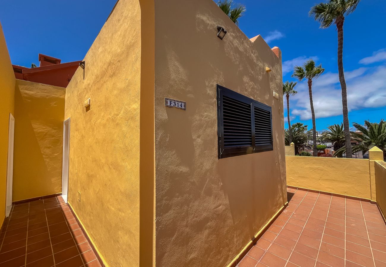 Apartment in Corralejo - Apartment Oasis Royal Corralejo F313