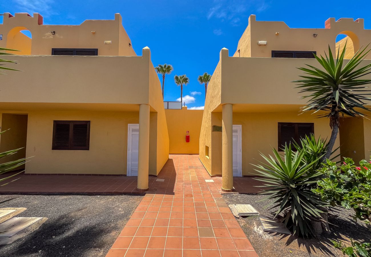 Apartment in Corralejo - Apartment Oasis Royal Corralejo F313