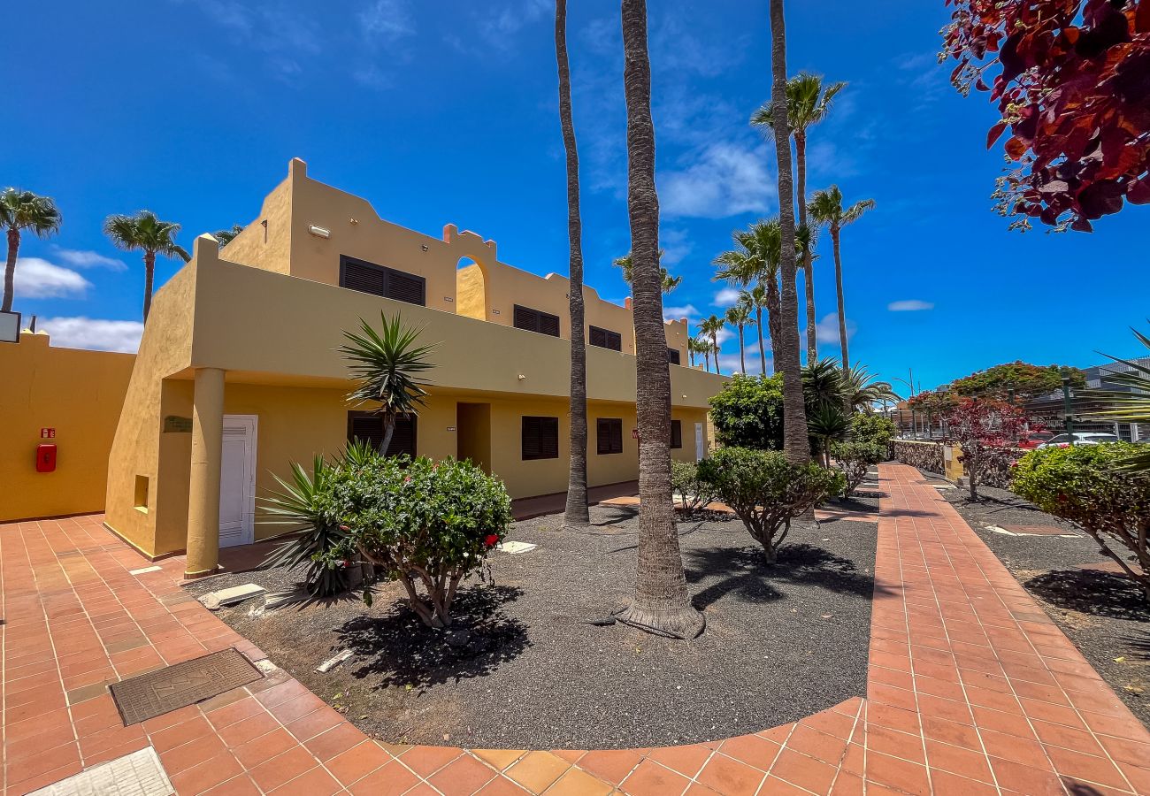 Apartment in Corralejo - Apartment Oasis Royal Corralejo F313