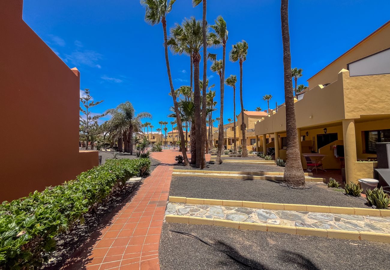 Apartment in Corralejo - Apartment Oasis Royal Corralejo F313