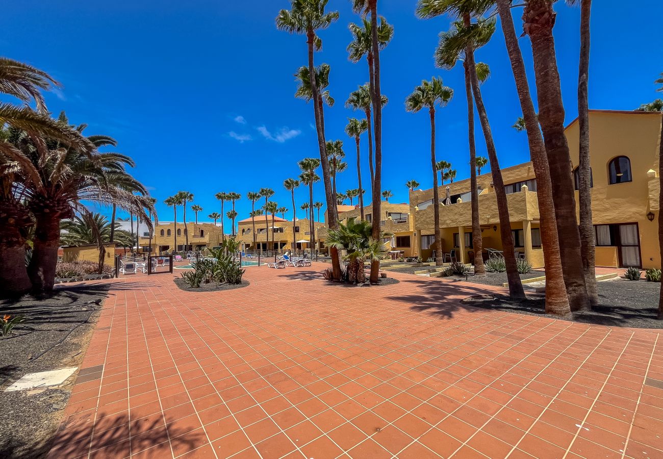 Apartment in Corralejo - Apartment Oasis Royal Corralejo F313