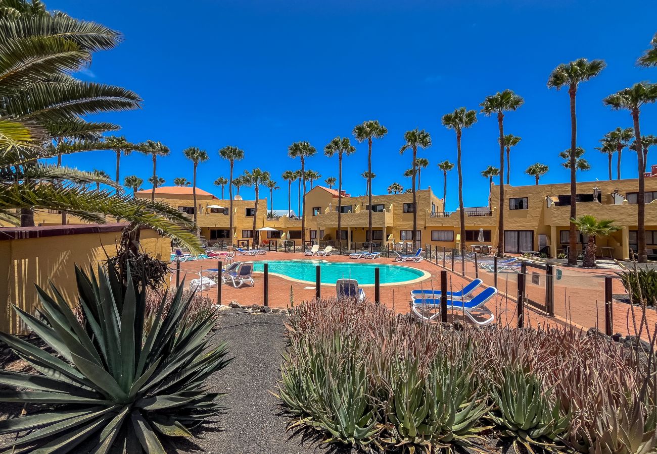 Apartment in Corralejo - Apartment Oasis Royal Corralejo F313