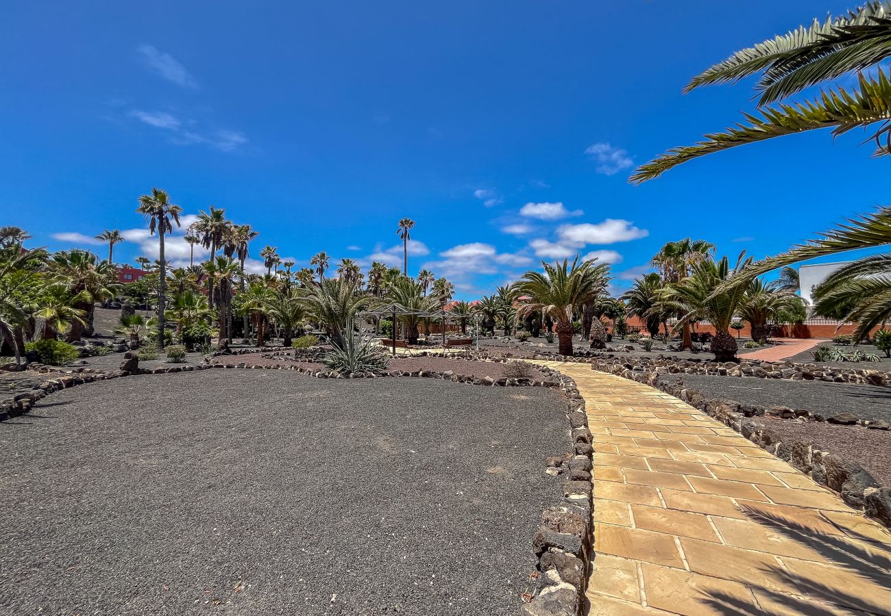 Apartment in Corralejo - Apartment Oasis Royal Corralejo F313