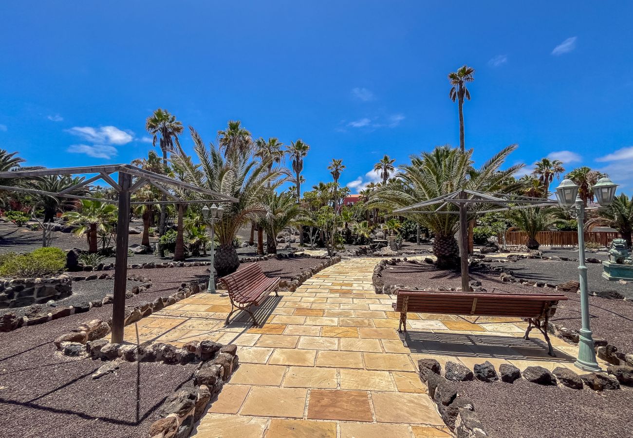 Apartment in Corralejo - Apartment Oasis Royal Corralejo F313