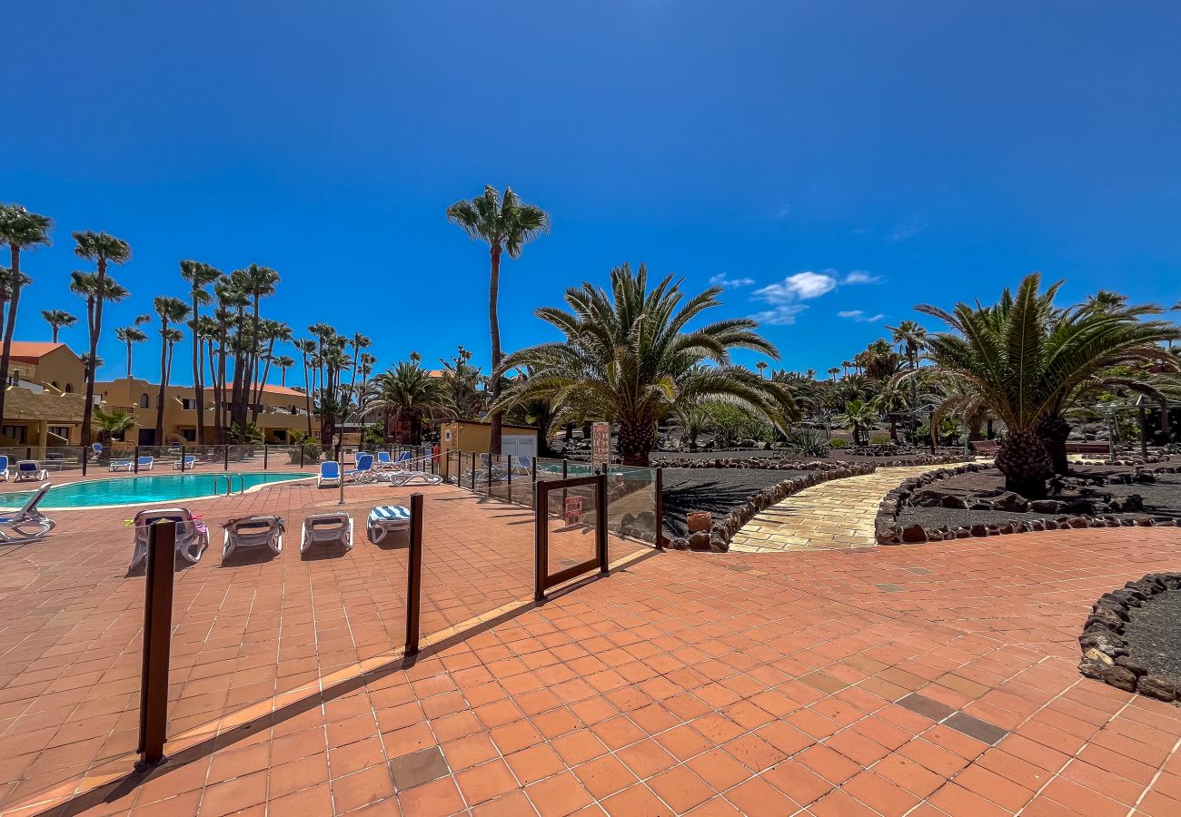 Apartment in Corralejo - Apartment Oasis Royal Corralejo F313