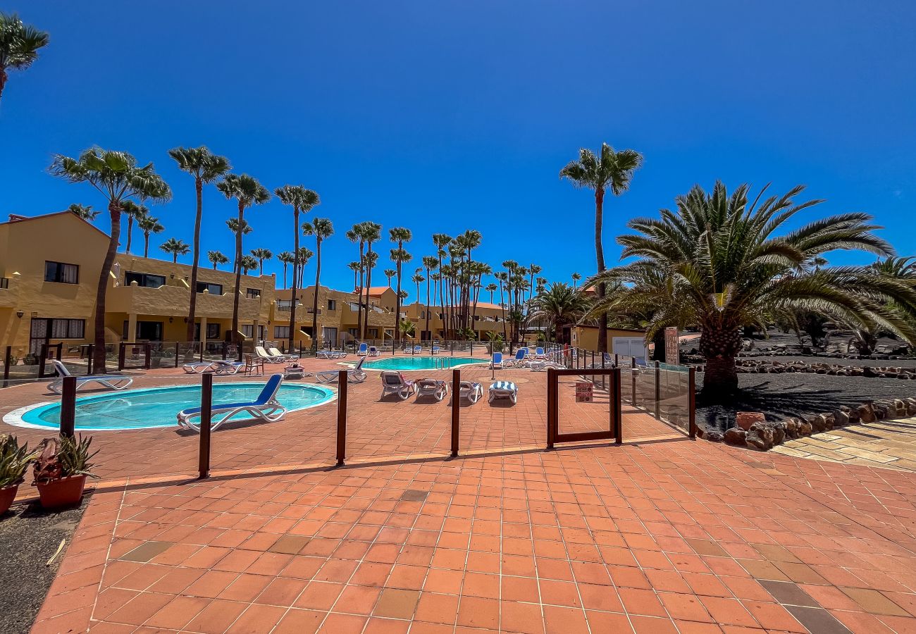 Apartment in Corralejo - Apartment Oasis Royal Corralejo F313
