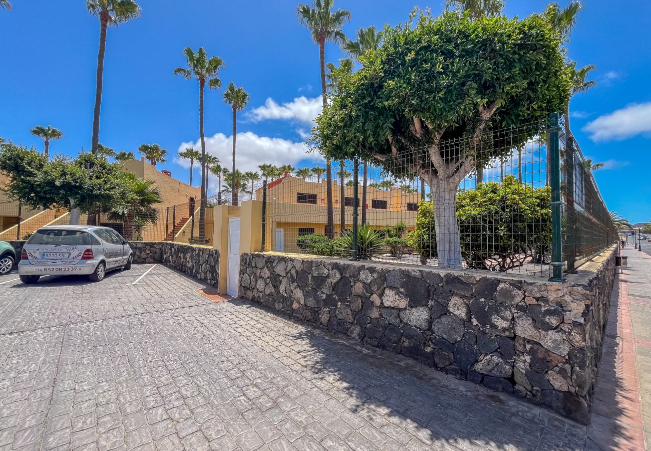 Apartment in Corralejo - Apartment Oasis Royal Corralejo F313