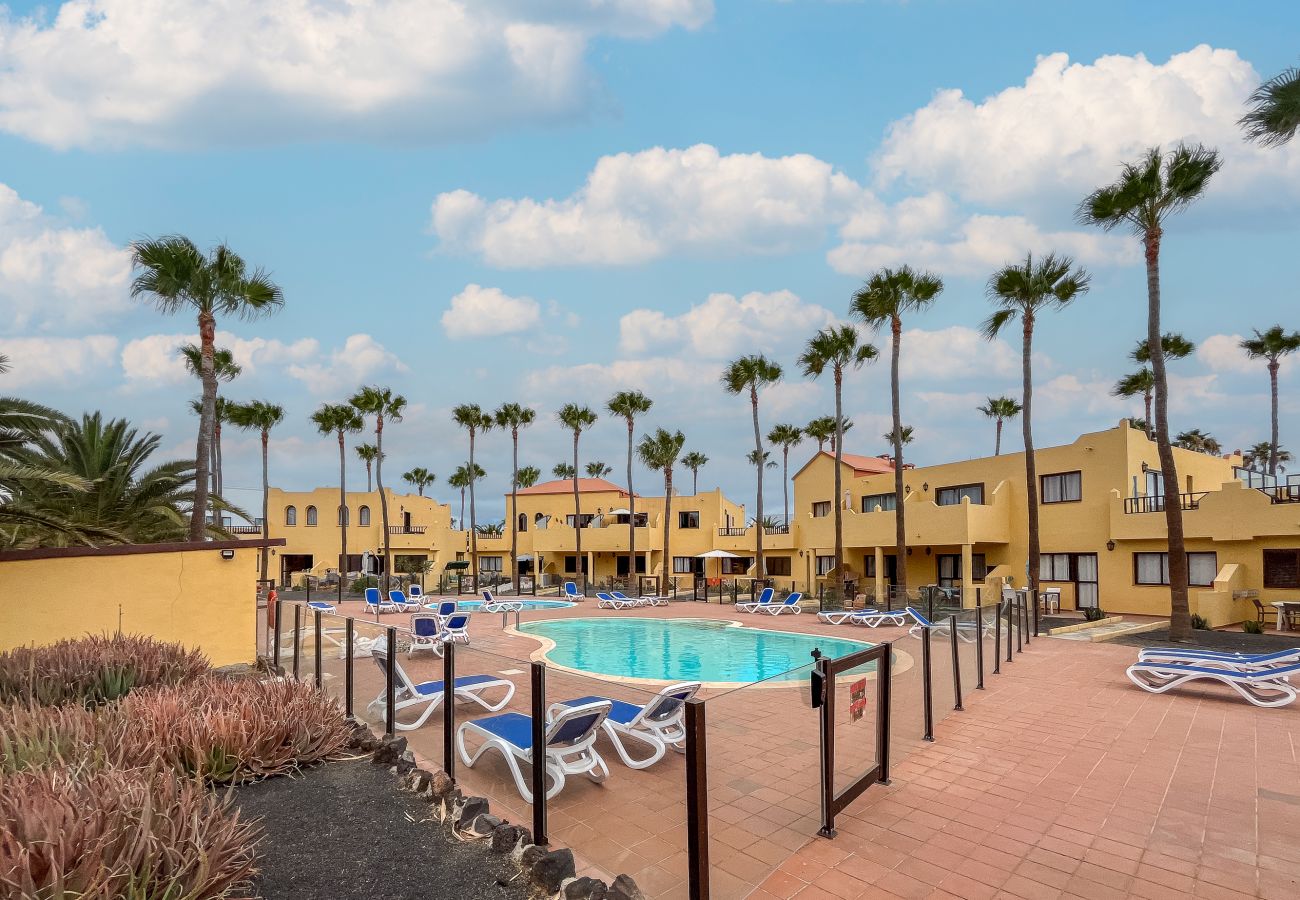 Apartment in Corralejo - Apartment Oasis Royal Corralejo F313