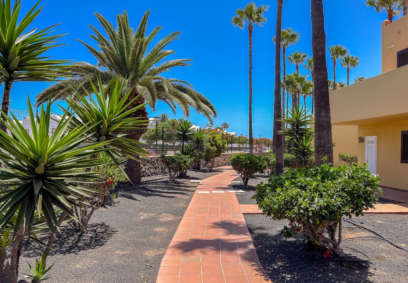 Apartment in Corralejo - Apartment Oasis Royal Corralejo F313