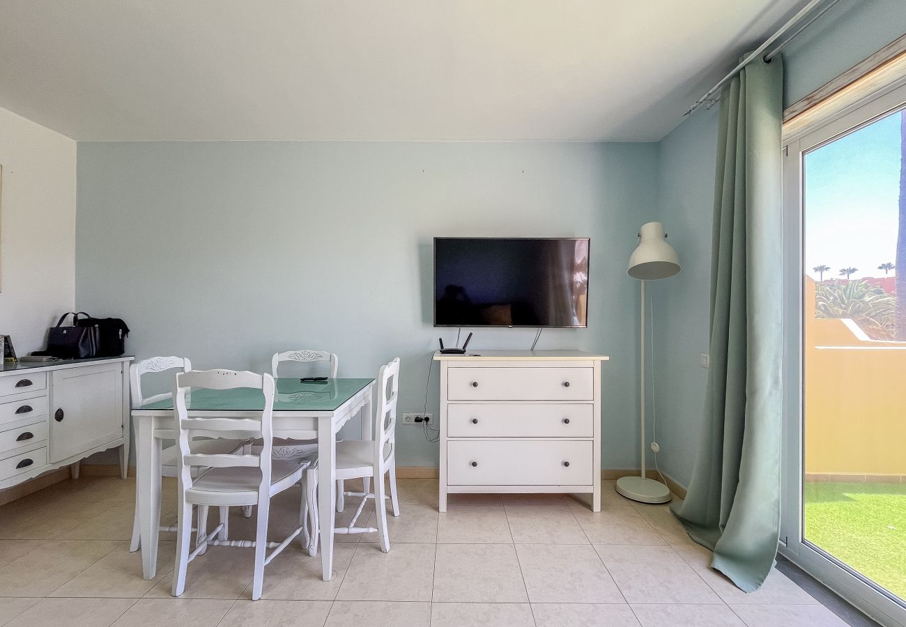 Apartment in Corralejo - Apartment Oasis Royal Corralejo F313