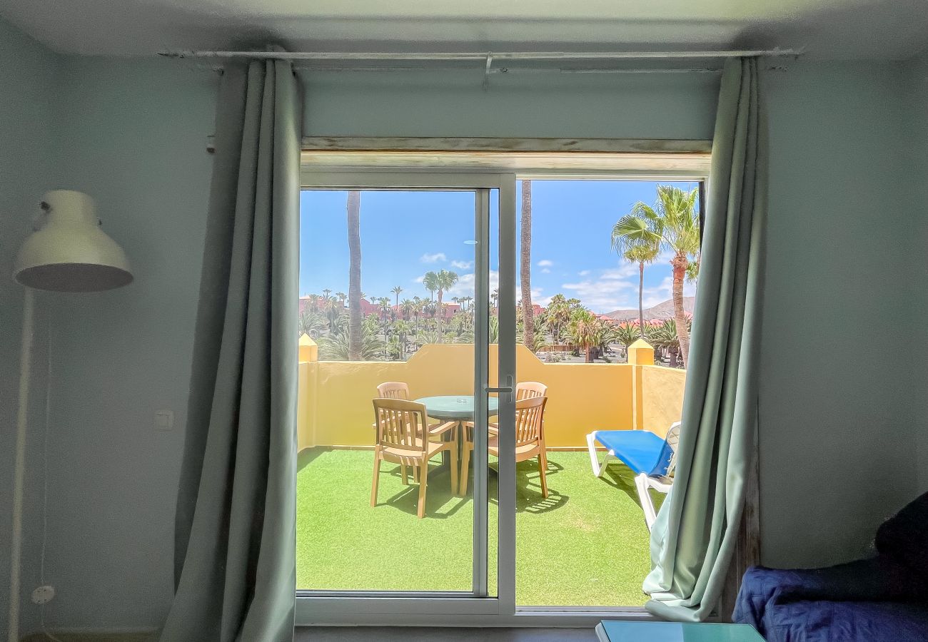 Apartment in Corralejo - Apartment Oasis Royal Corralejo F313