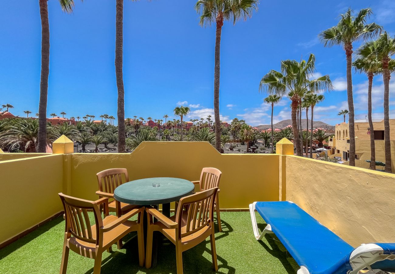 Apartment in Corralejo - Apartment Oasis Royal Corralejo F313