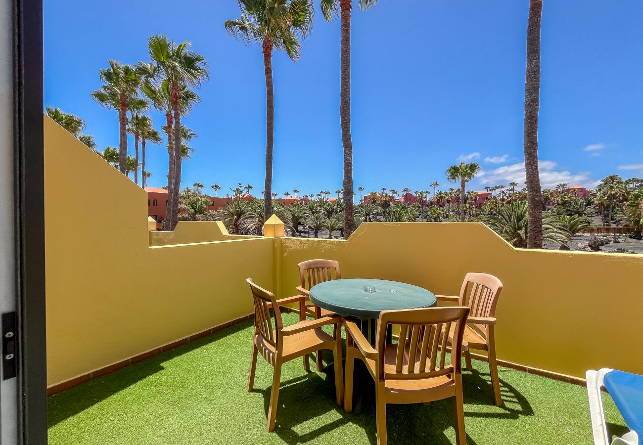 Apartment in Corralejo - Apartment Oasis Royal Corralejo F313