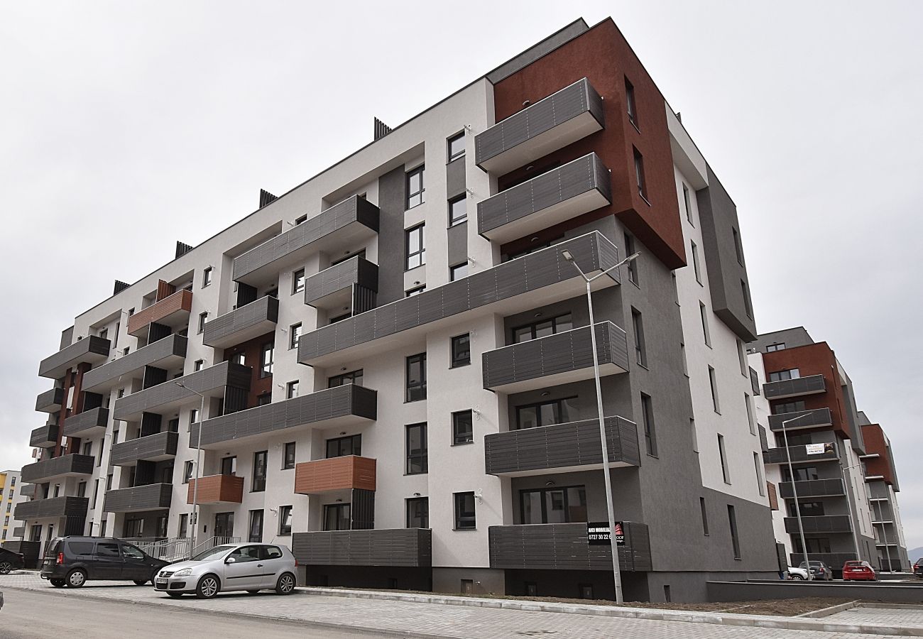 Studio in Brasov - Toia Studio