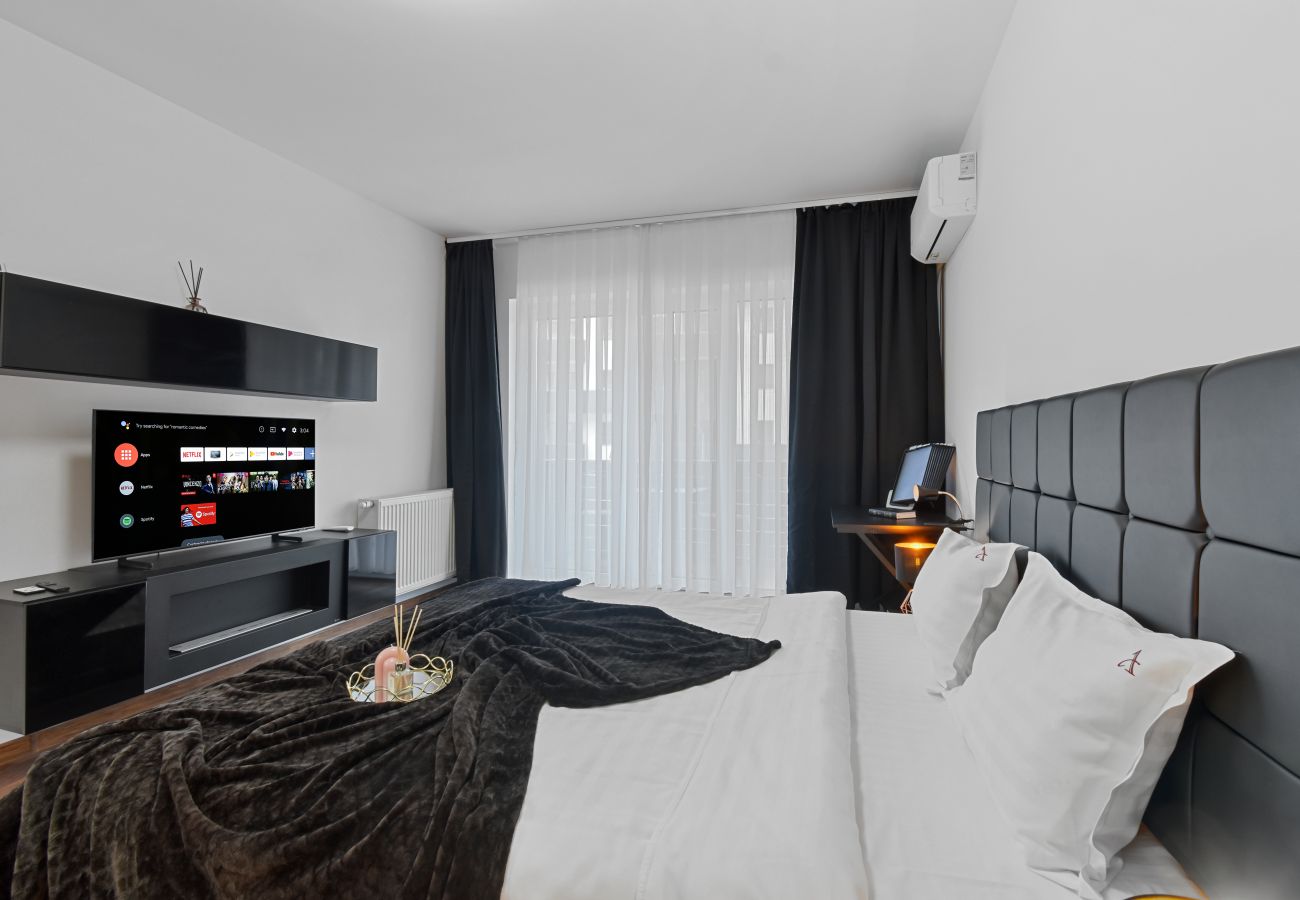 Studio in Brasov - Toia Studio