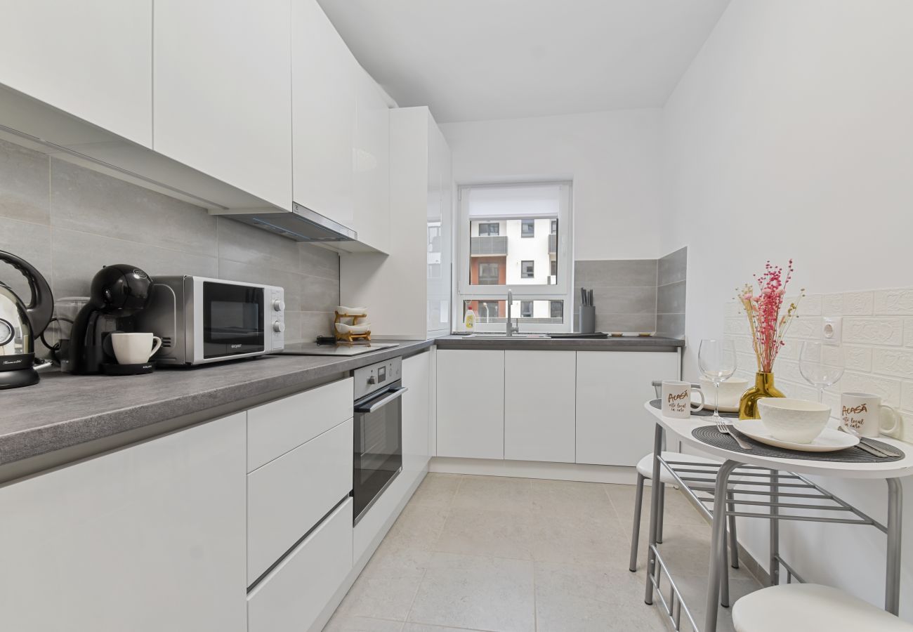 Studio in Brasov - Toia Studio