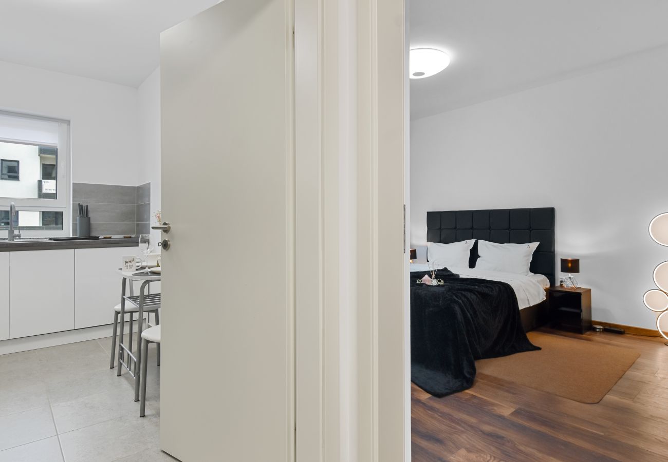 Studio in Brasov - Toia Studio