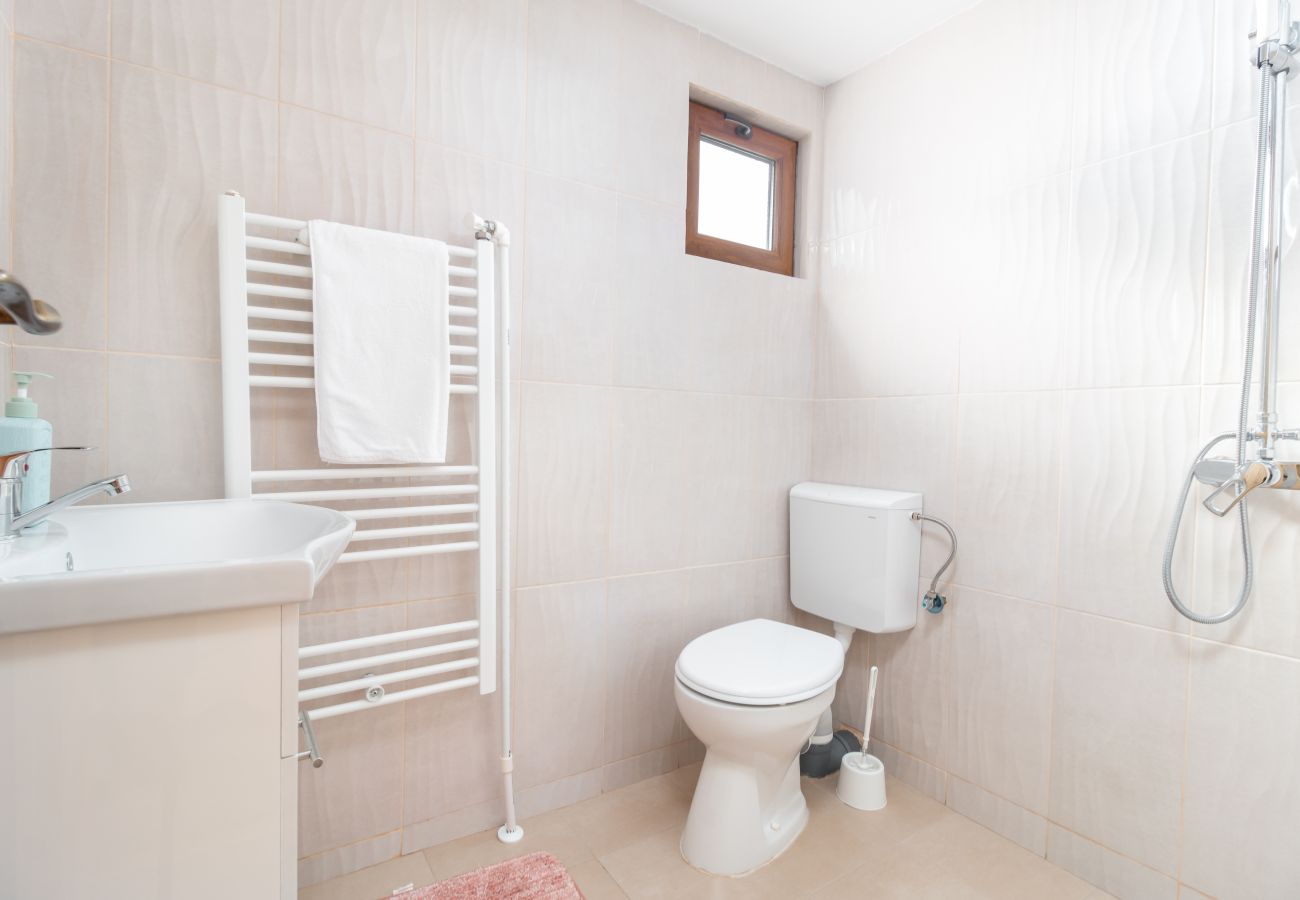 Chalet in Vidra - Casa de Vacanta Cascada Feel the Nature
