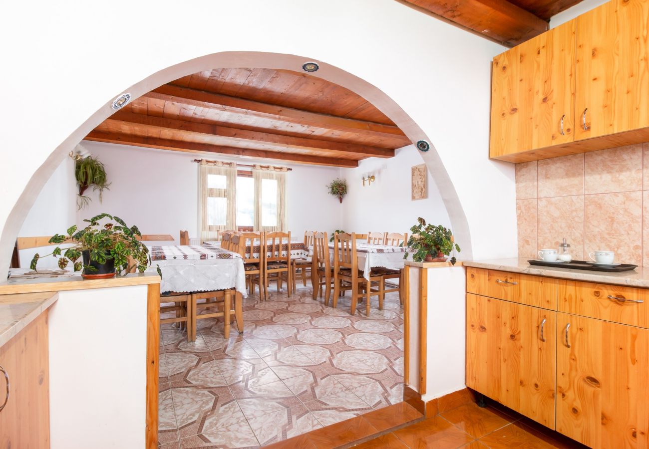 Chalet in Vidra - Casa de Vacanta Cascada Feel the Nature