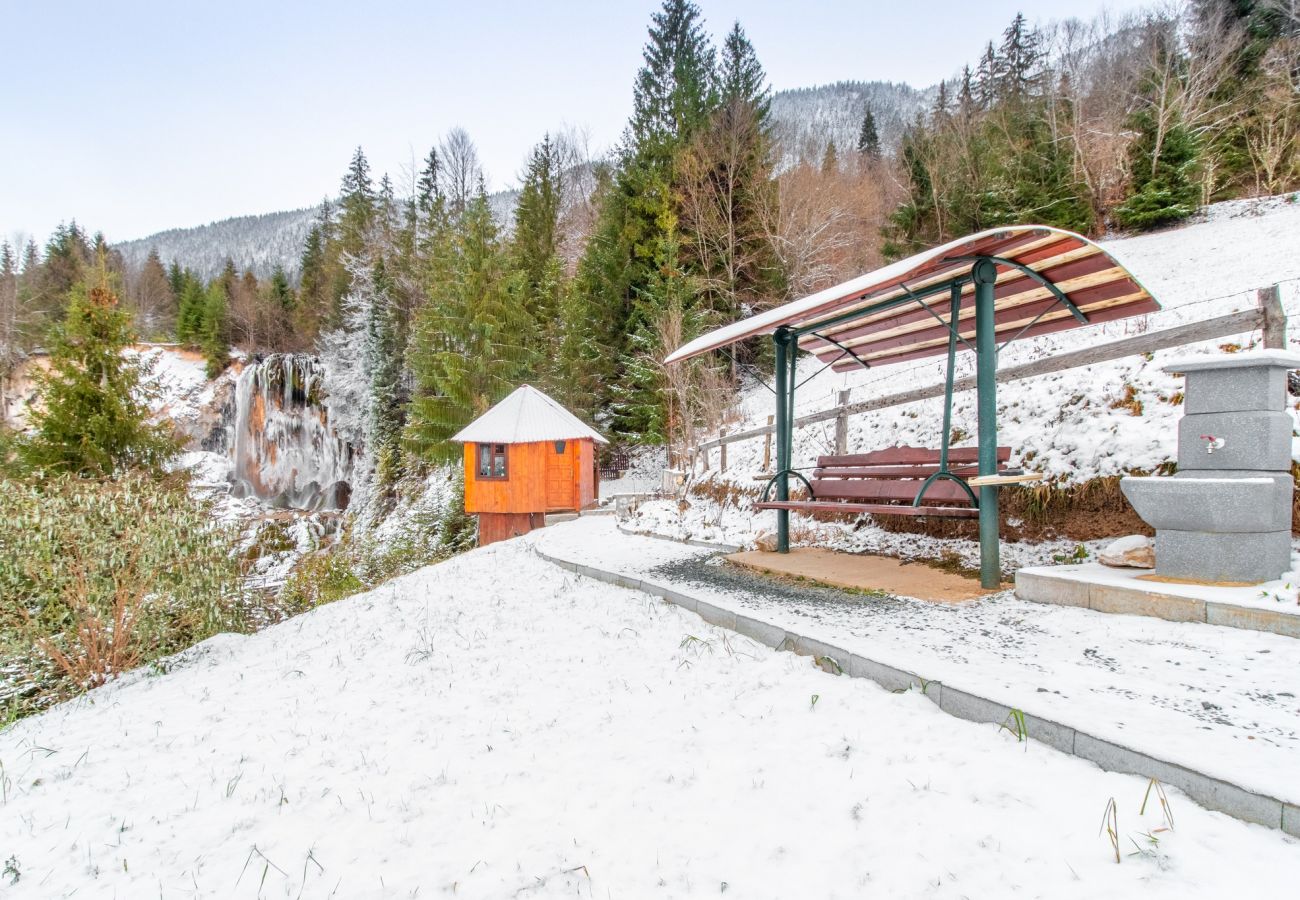 Chalet in Vidra - Casa de Vacanta Cascada Feel the Nature