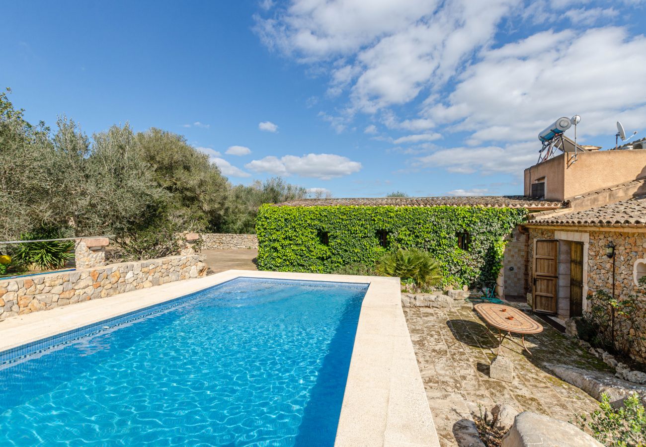 Villa in Petra - Cozy villa with private pool and barbecue in Mallorca center, Yourhouse Son Bosquer