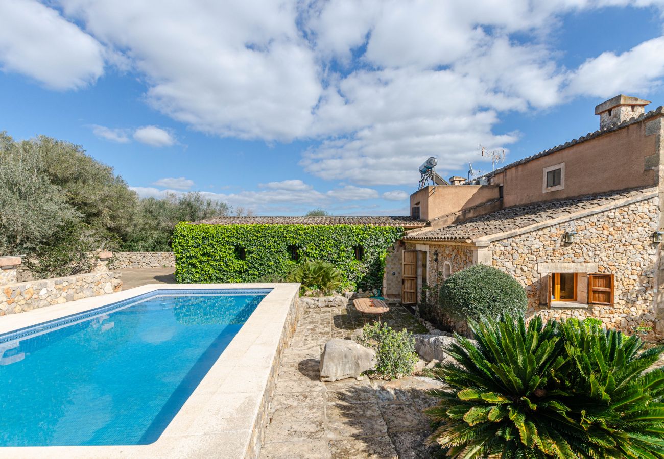 Villa in Petra - Cozy villa with private pool and barbecue in Mallorca center, Yourhouse Son Bosquer