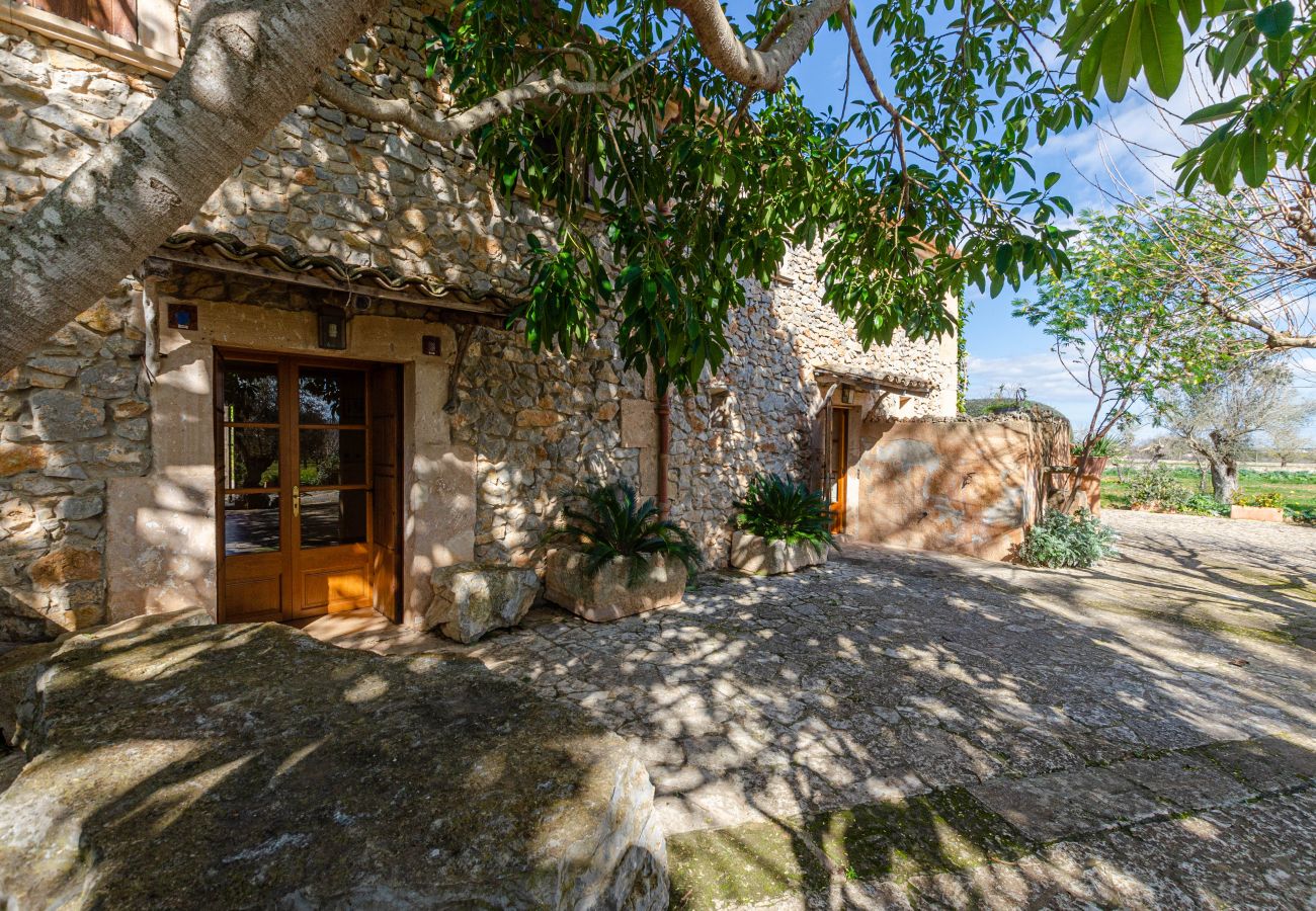 Villa in Petra - Cozy villa with private pool and barbecue in Mallorca center, Yourhouse Son Bosquer