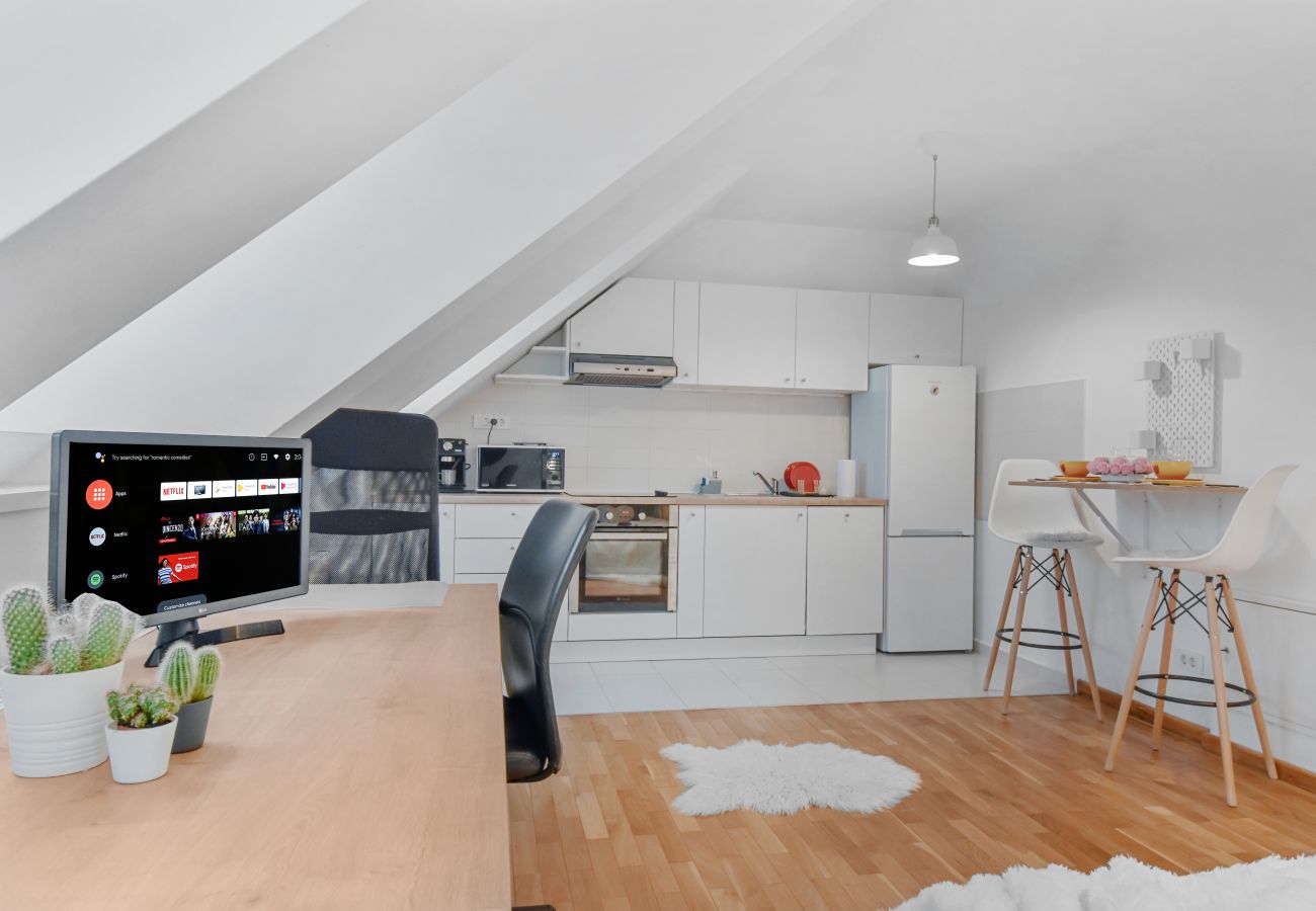Studio in Bucharest - Attic Studio near Carol Park