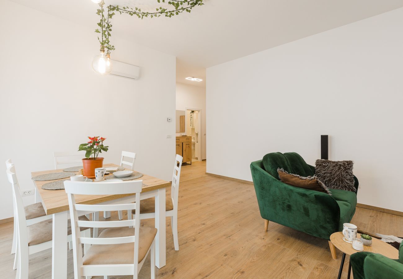 Apartment in Timisoara - Essenza Charming Two BedRoom Apartment