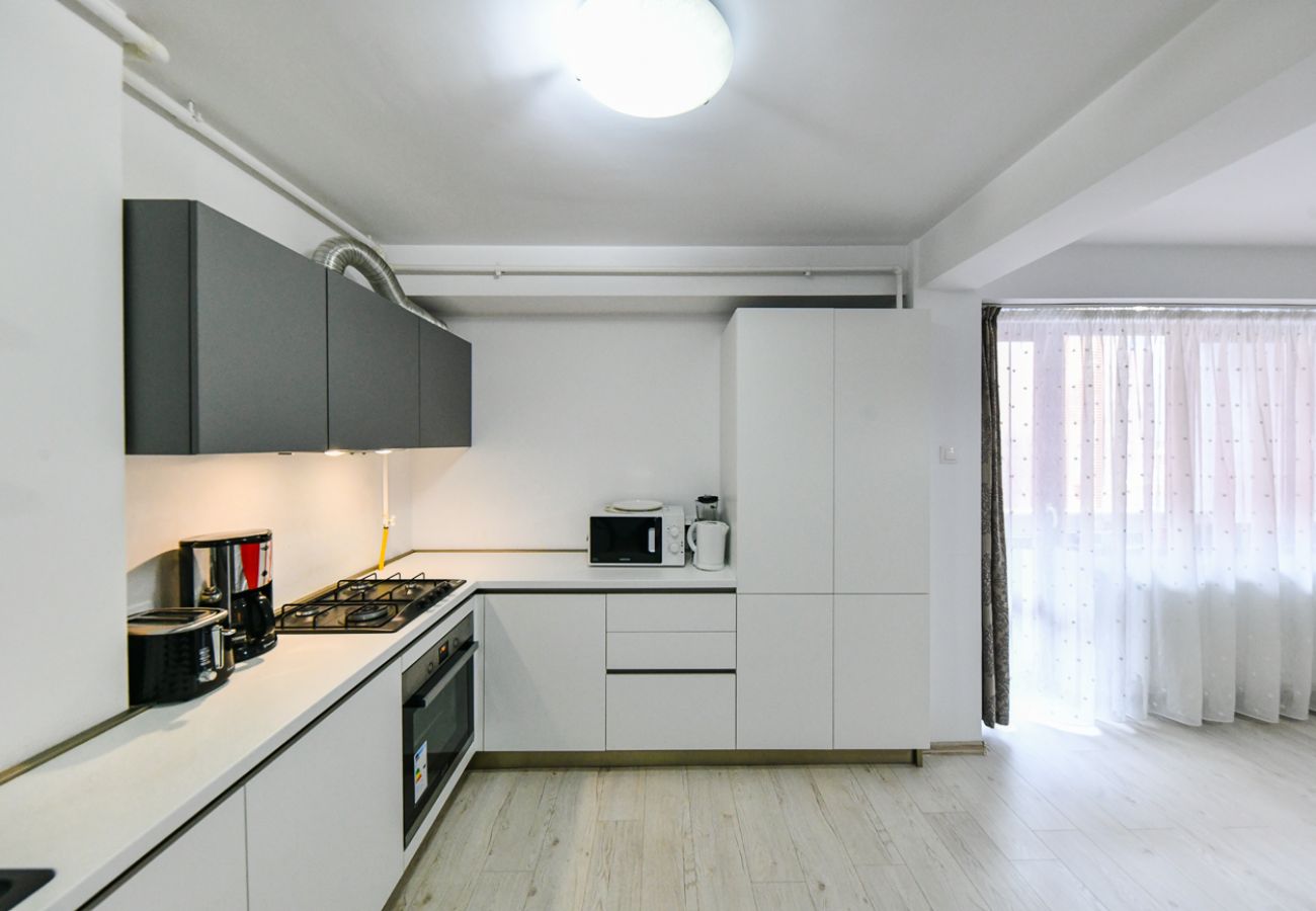 Apartment in Cluj Napoca - 1BDR Somesului