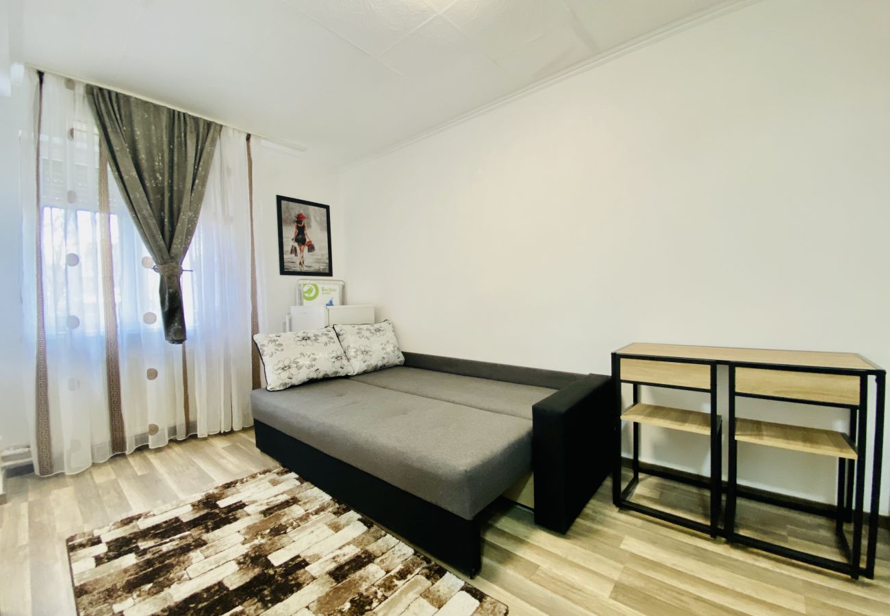 Studio in Bucharest - Little Studio With Sofa bed