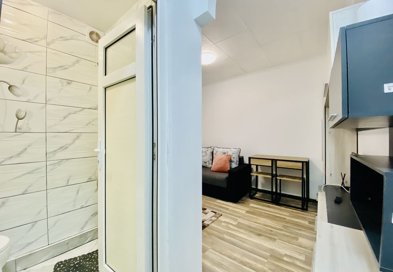 Studio in Bucharest - Little Studio With Sofa bed