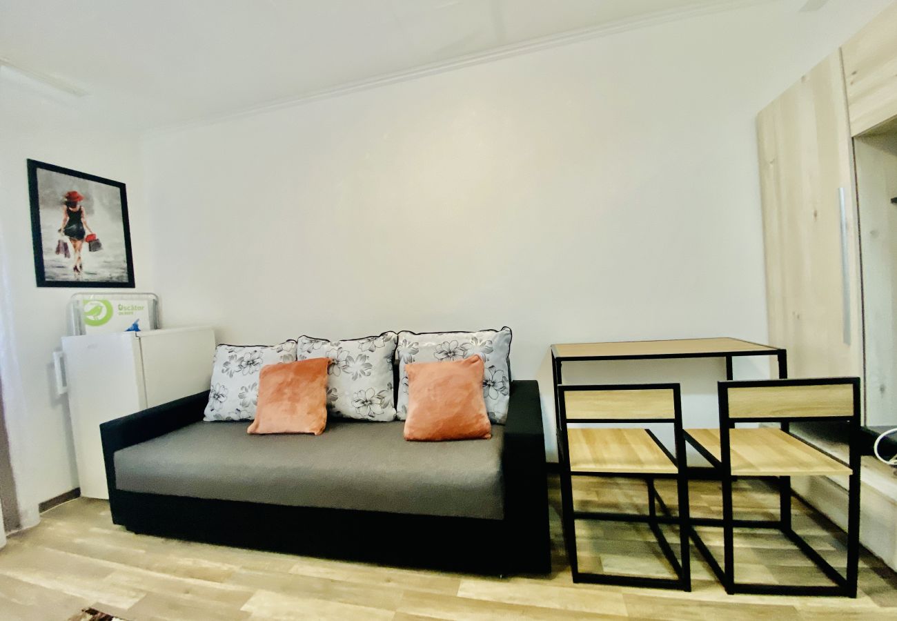 Studio in Bucharest - Little Studio With Sofa bed