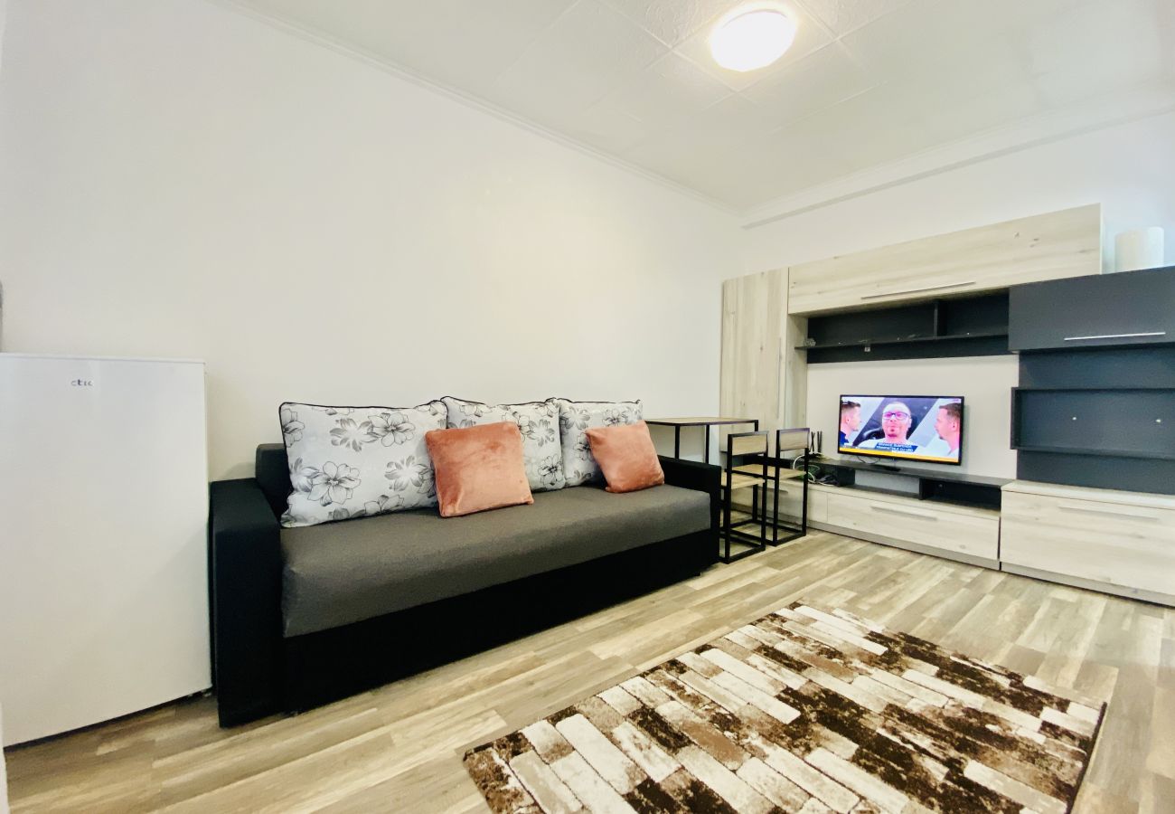 Studio in Bucharest - Little Studio With Sofa bed