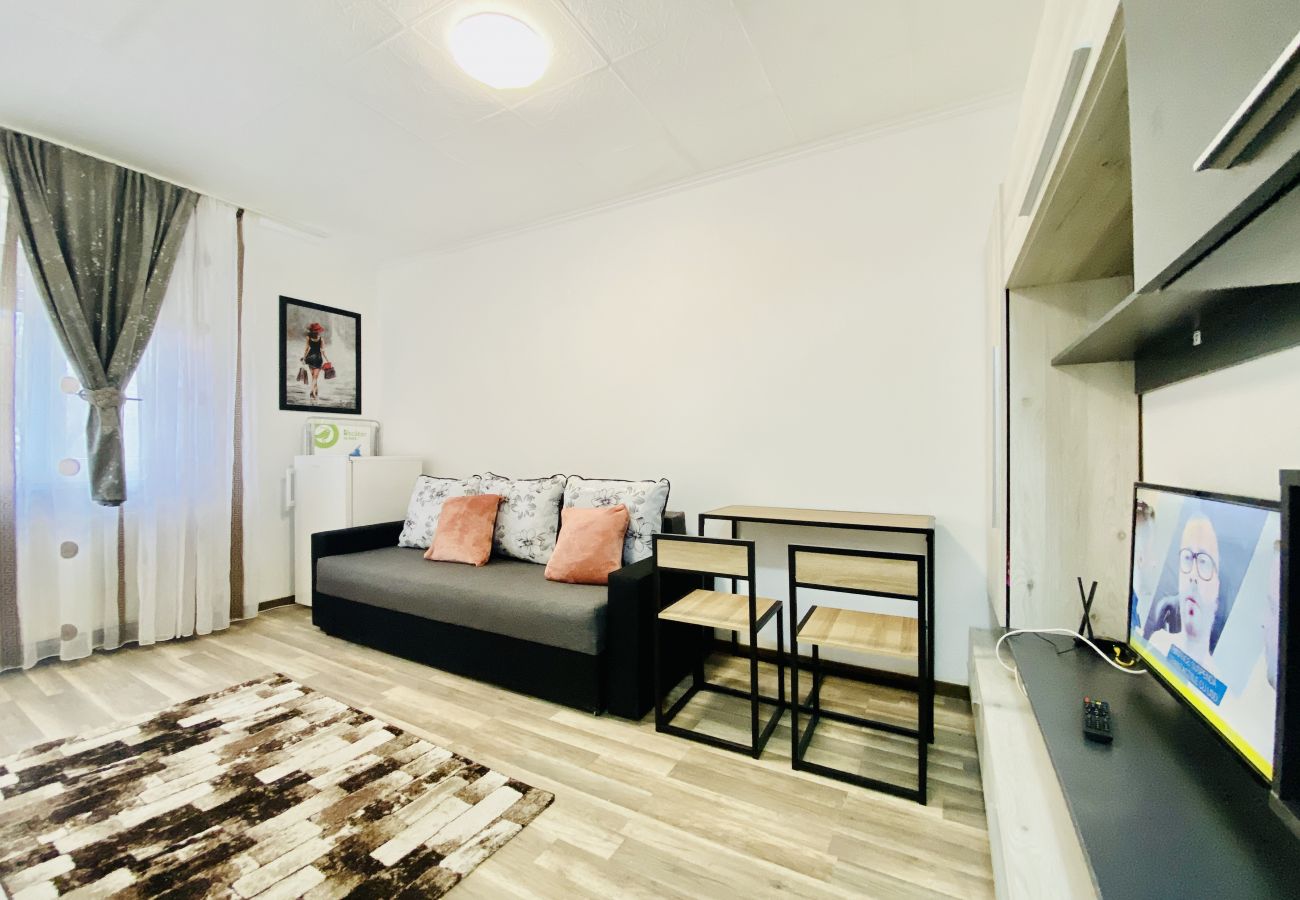 Studio in Bucharest - Little Studio With Sofa bed