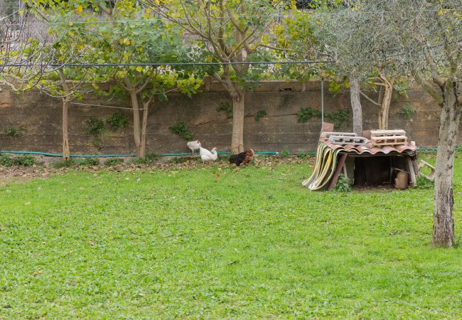 Villa in Llubi - YourHouse Villa Sa Caseta Villa in Llubi - YourHouse Villa Sa Caseta