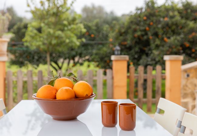 Villa in Llubi - YourHouse Villa Sa Caseta Villa in Llubi - YourHouse Villa Sa Caseta