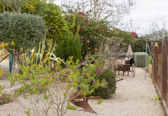 Villa in Llubi - YourHouse Villa Sa Caseta Villa in Llubi - YourHouse Villa Sa Caseta