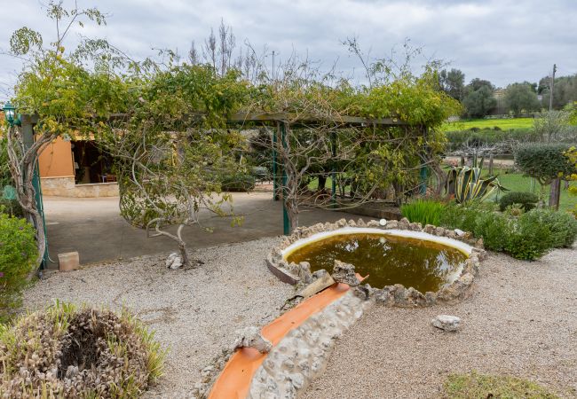 Villa in Llubi - YourHouse Villa Sa Caseta Villa in Llubi - YourHouse Villa Sa Caseta