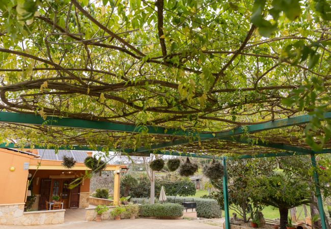 Villa in Llubi - YourHouse Villa Sa Caseta Villa in Llubi - YourHouse Villa Sa Caseta