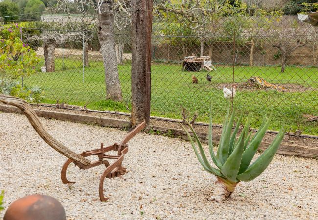 Villa in Llubi - YourHouse Villa Sa Caseta Villa in Llubi - YourHouse Villa Sa Caseta