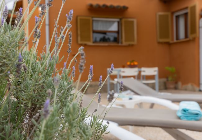 Villa in Llubi - YourHouse Villa Sa Caseta Villa in Llubi - YourHouse Villa Sa Caseta