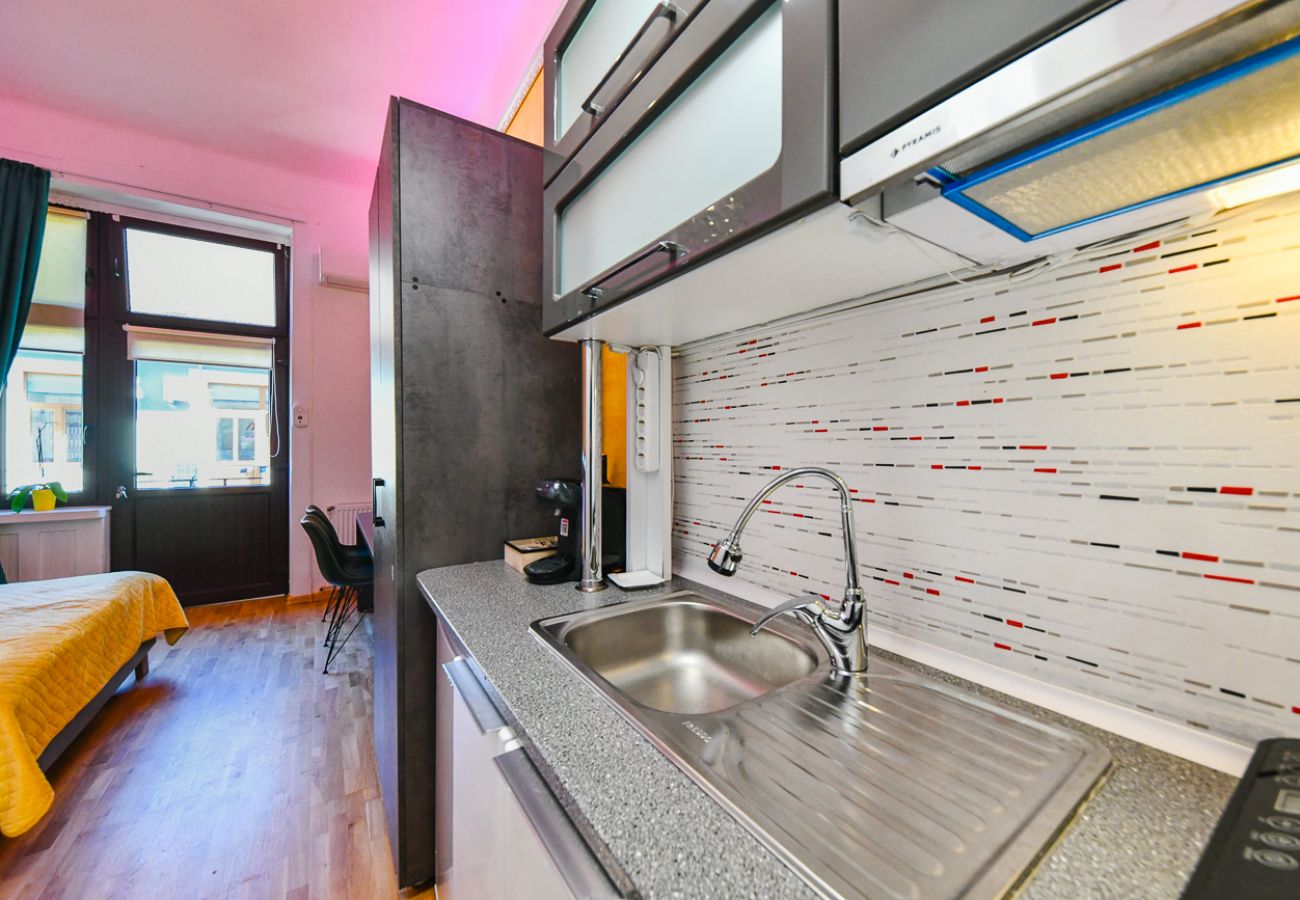 Studio in Cluj Napoca - Carpe Diem  Charming & Central