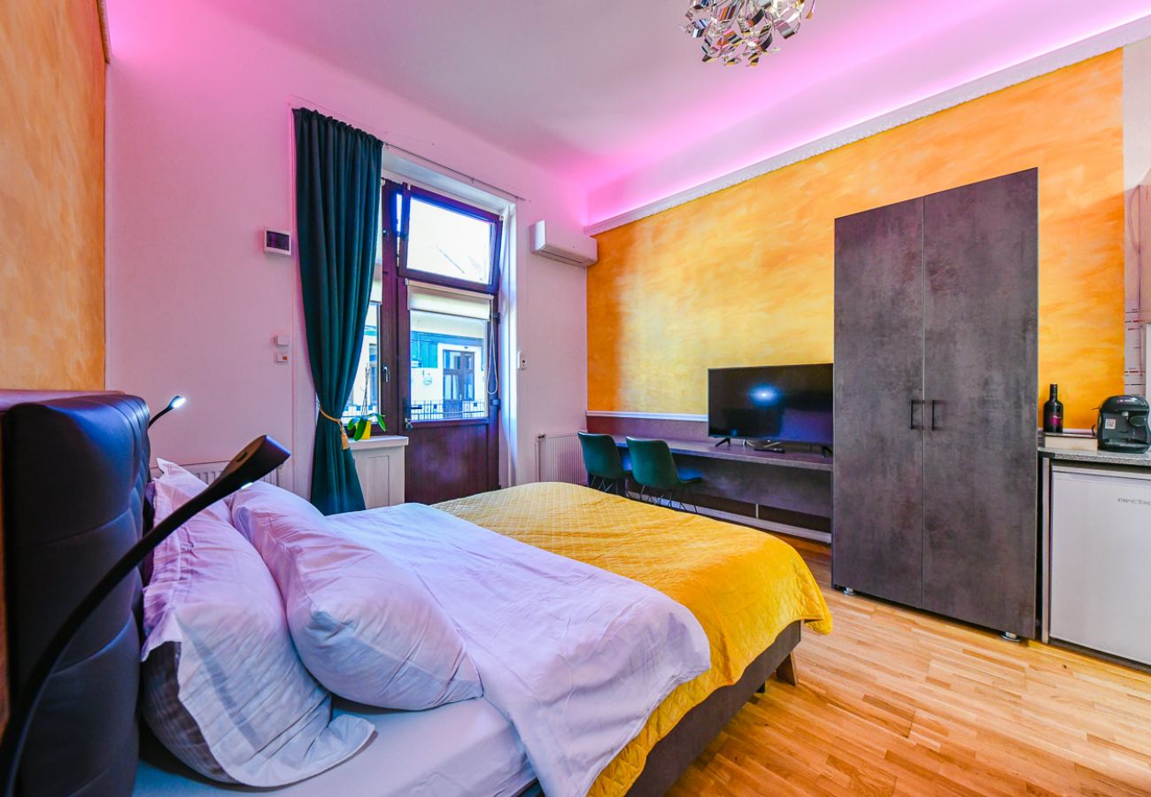 Studio in Cluj Napoca - Carpe Diem  Charming & Central