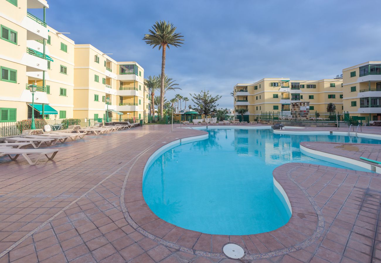 Apartment in San Bartolomé de Tirajana - Lightbooking Las Olas Playa del Ingles