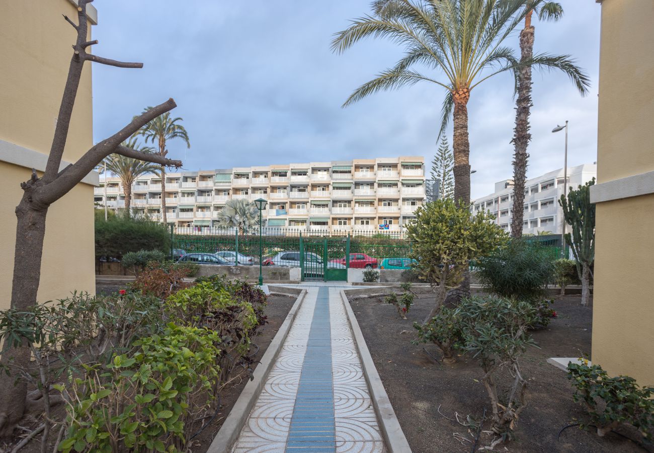 Apartment in San Bartolomé de Tirajana - Lightbooking Las Olas Playa del Ingles