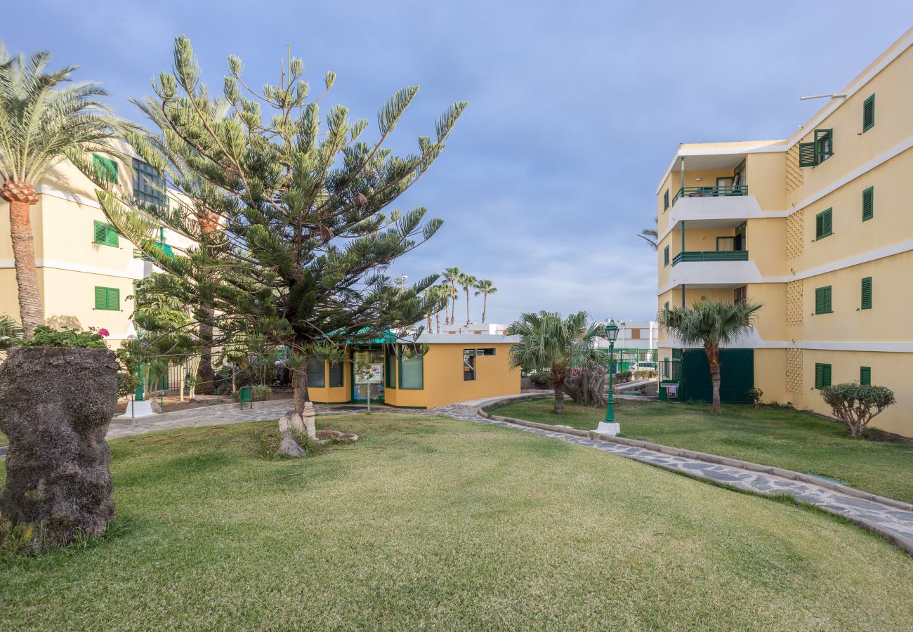 Apartment in San Bartolomé de Tirajana - Lightbooking Las Olas Playa del Ingles