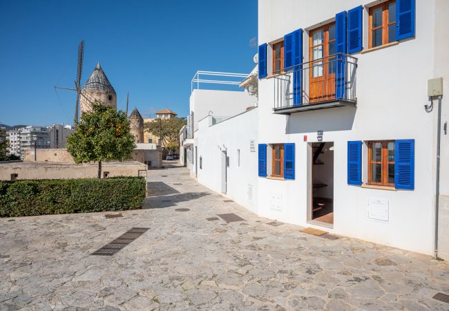 Apartment in Palma de Mallorca - Moli 37 Apartment in Palma de Mallorca - Moli 37