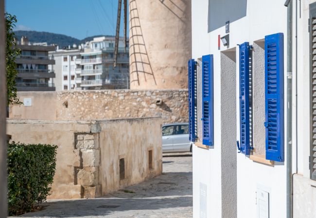 Apartment in Palma de Mallorca - Moli 37 Apartment in Palma de Mallorca - Moli 37