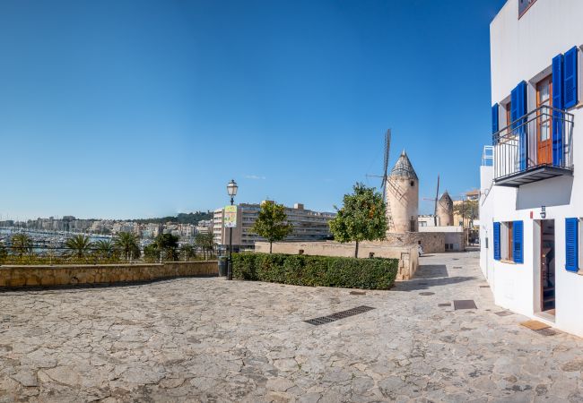 Apartment in Palma de Mallorca - Moli 37 Apartment in Palma de Mallorca - Moli 37